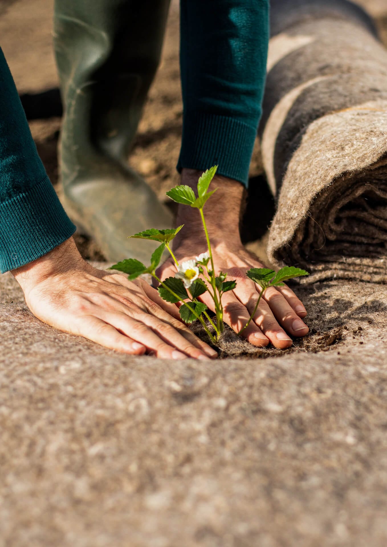 Le Centre Des Materiaux Durables